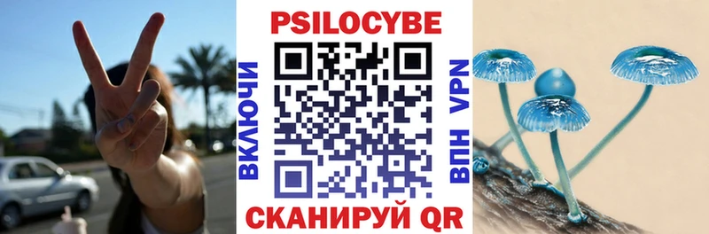 Псилоцибиновые грибы прущие грибы  мориарти официальный сайт  Петров Вал  купить наркоту 